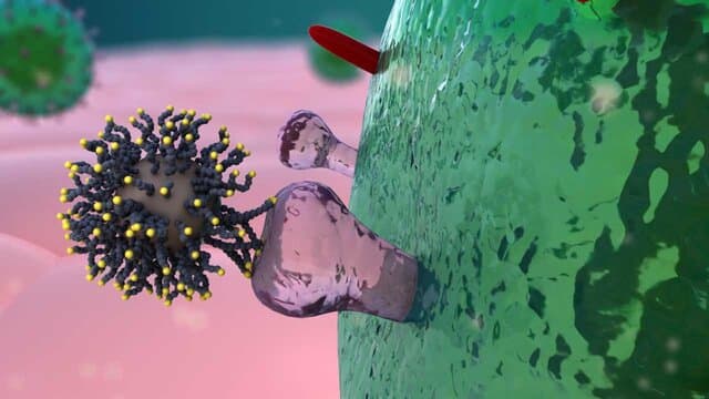 پیشگیری ویروس کرونا